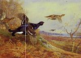 Archibald Thorburn Canvas Paintings - Blackgame in Flight